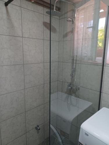 ducha con puerta de cristal junto a un aseo en Apartman Kalinka, en Gajić