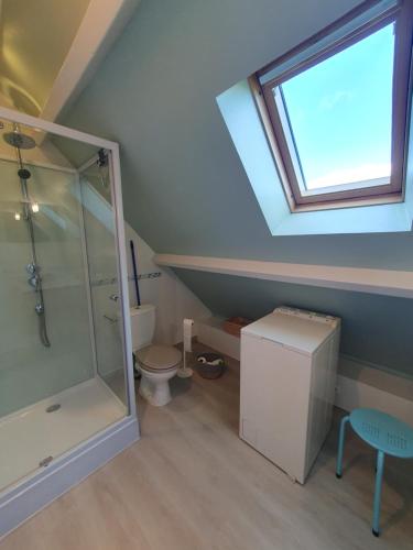 Fatouville-GrestainにあるGites Des Petits Prèsの屋根裏のバスルーム(シャワー、トイレ付)