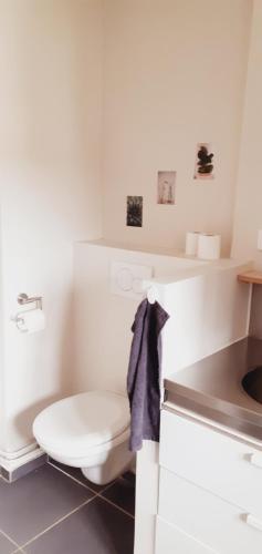 ein weißes Bad mit einem WC und einem Waschbecken in der Unterkunft Les 3 Mésanges in Giverny