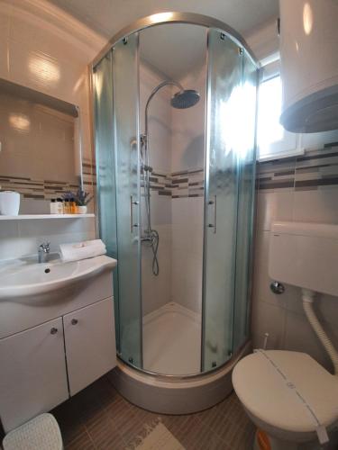 a bathroom with a shower and a toilet and a sink at La Reina Una in Bihać