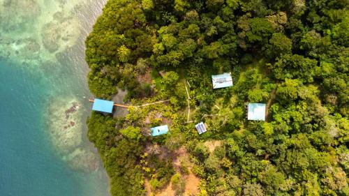 an aerial view of an island with trees and water at Roam Yoga & Wellness Lodge in Bocas del Toro