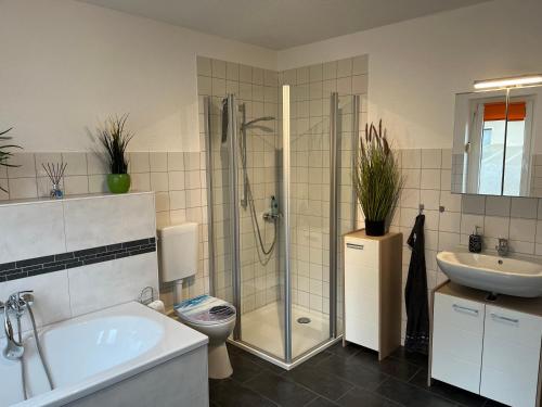 a bathroom with a shower and a toilet and a sink at Pension 71 in Mittelbach