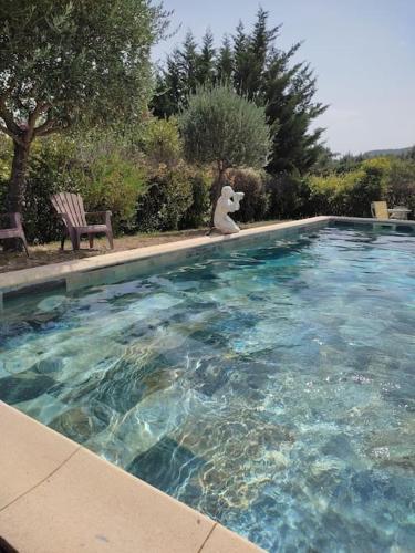un ours en peluche assis à côté d'une piscine dans l'établissement maison spacieuse et lumineuse+ studio, à Saint-Martin-de-Valgalgues