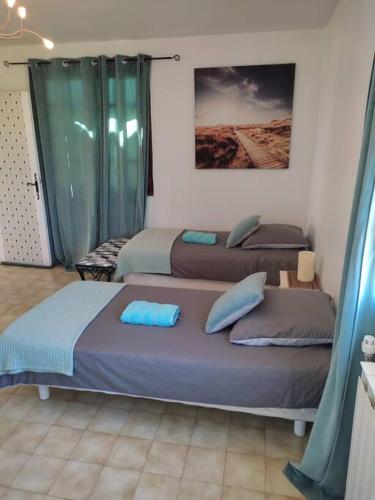 - une chambre avec 2 lits dotés d'oreillers bleus dans l'établissement maison spacieuse et lumineuse+ studio, à Saint-Martin-de-Valgalgues