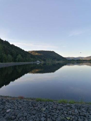 a view of a lake with trees in the background at gîte de rarounette au cœur des Vosges in Celles-sur-Plaine