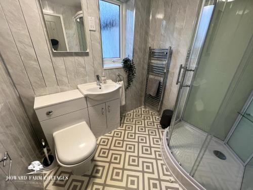 a bathroom with a toilet and a sink and a shower at Howard Farm Holiday Cottages in Bude