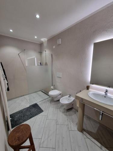een badkamer met een toilet, een wastafel en een spiegel bij Ciasa de Leo in Mazzin