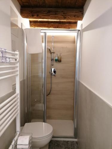a bathroom with a shower and a toilet at VERDEPOESIA in Chioggia