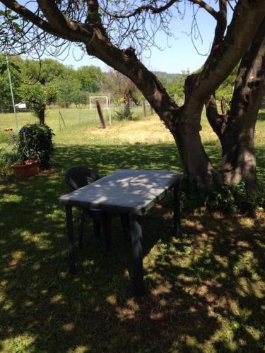 a black picnic table in front of a tree at Chalet La Sequoia Orte in Orte