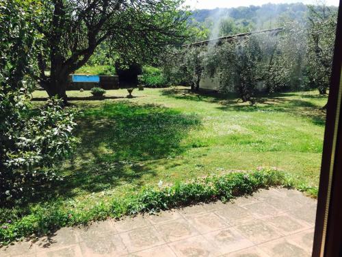 a view of a yard with trees and grass at Chalet La Sequoia Orte in Orte