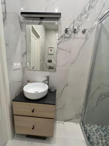 uma casa de banho com um lavatório e um chuveiro em D’AZUR-35 em Nice