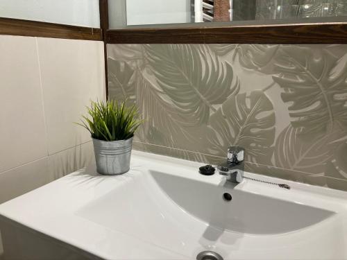 La salle de bains est pourvue d'un lavabo et d'une plante en pot. dans l'établissement Casa Rural Mentesana, à Villanueva de la Fuente