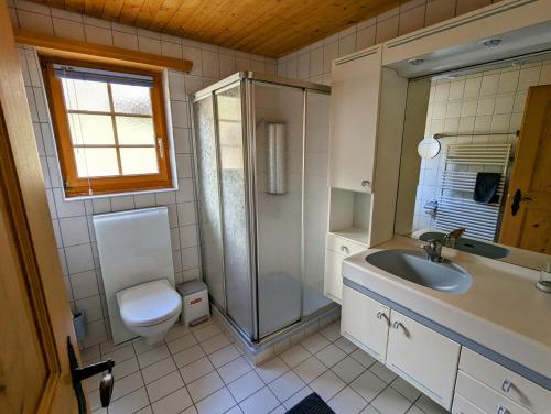 A bathroom at Maisonette-Wohnung in Rueras bei Sedrun