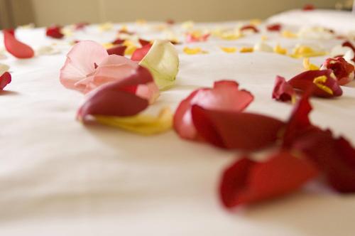 a close up of a cake with flowers on it at The Dudley Boutique Hotel in Daylesford