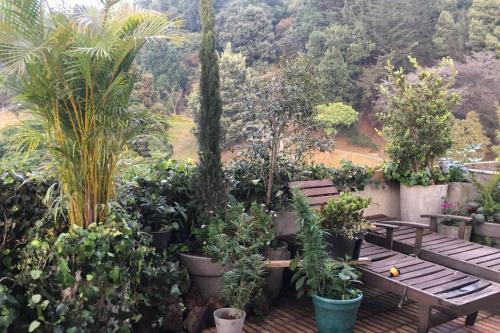 una panchina di legno in un giardino con piante e alberi di Apto duplex amplia terraza a Bogotá