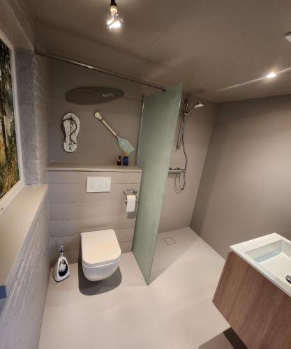 een kleine badkamer met een toilet en een wastafel bij Tomorrowland loft poolhouse with pool in Willebroek