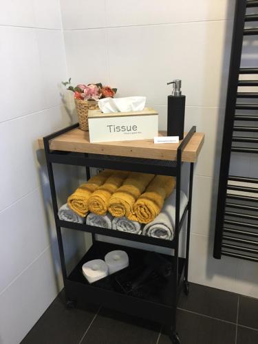 a bathroom shelf with towels and a box on it at Prázdninový dům Na Rajčurně in Velké Bílovice