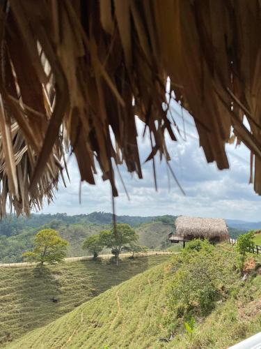 a view of a field with a thatch roof at La Manola Finca Hotel in Doradal
