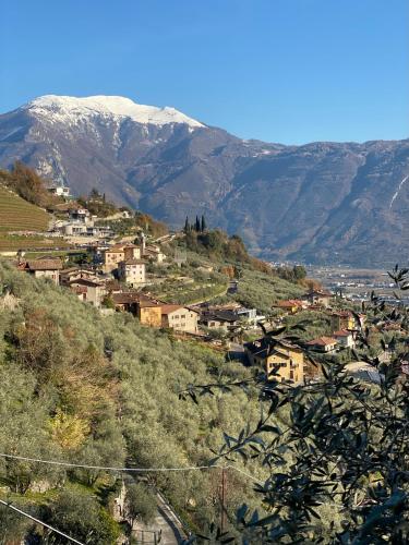 a village on a hill with a snow covered mountain at Garda View Apartment in Tenno