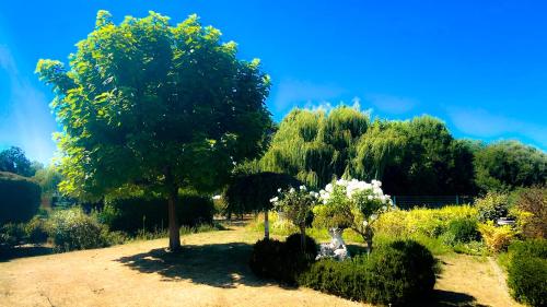 un árbol en medio de un jardín en Villa Lucienne, en Comines