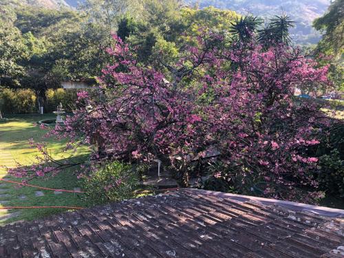 Kronemhouse Pousada – Photos 3