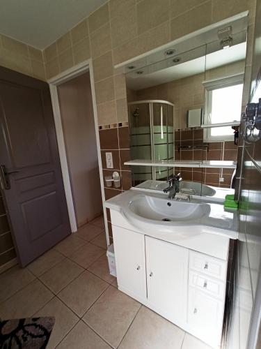 une salle de bain avec un lavabo et un miroir dans l'établissement Casa Bonino, à Prunelli-di-Fiumorbo