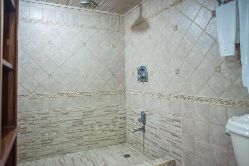 a bathroom with a shower with a faucet at Seawind Beach Apartments in Montego Bay