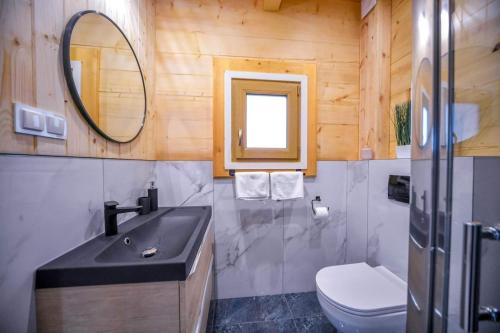La salle de bains est pourvue d'un lavabo, de toilettes et d'un miroir. dans l'établissement Nini House Dudki, à Giże
