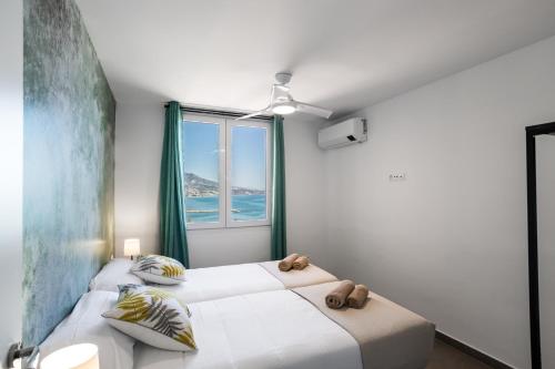 Sur Suites Palmeras 10