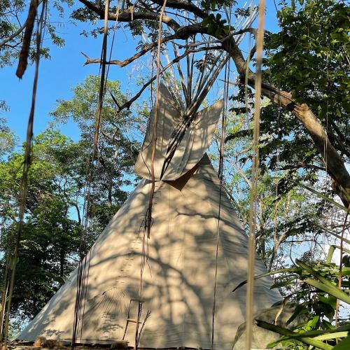 Casita Ylang Ylang في نوسارا: طائرة ورقية متدلية من شجرة في الغابة