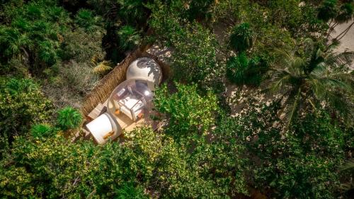 an overhead view of a park with a light at Astral Tulum in Tulum