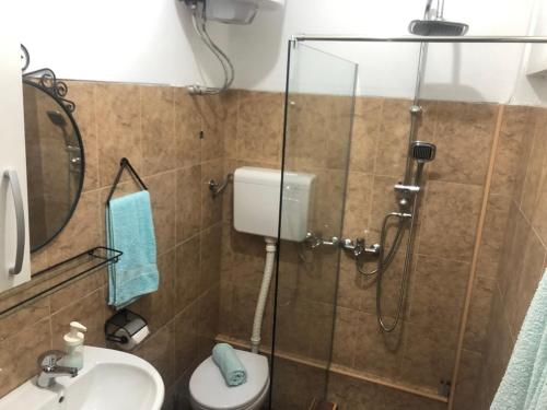 een badkamer met een douche, een toilet en een wastafel bij Dorcoleta Apartment in Belgrado