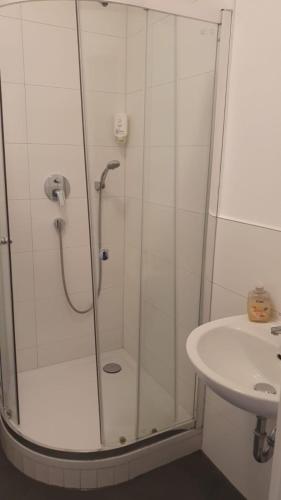 Bagno di Pension Bad Soden / Apartment and Rooms