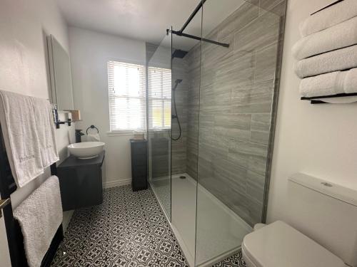 a bathroom with a shower and a toilet and a sink at Denburn Cottage, East Neuk of Fife in Colinsburgh