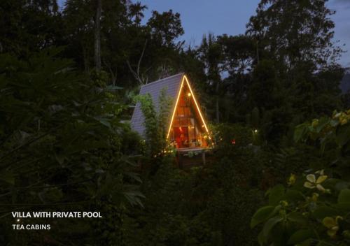 uma casa na árvore com luzes num jardim à noite em Tea Cabins em Ella