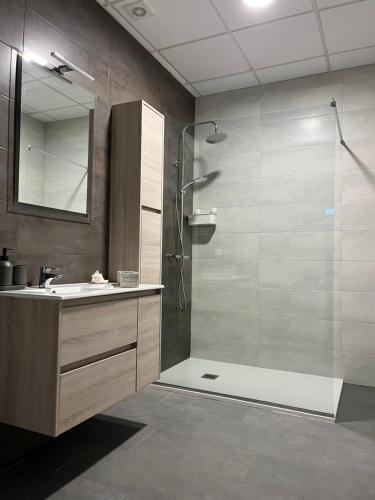 uma casa de banho com um chuveiro, um lavatório e um espelho. em Fogar de Aurora em Portomarín