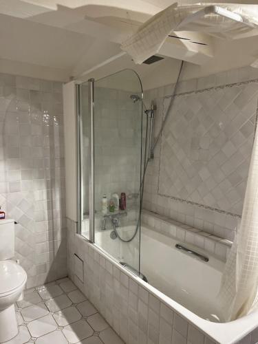 a bathroom with a shower and a toilet at Charming, chic, secluded villa within walking distance from Lorgues in Lorgues