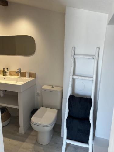 a bathroom with a white toilet and a sink at Charming, chic, secluded villa within walking distance from Lorgues in Lorgues