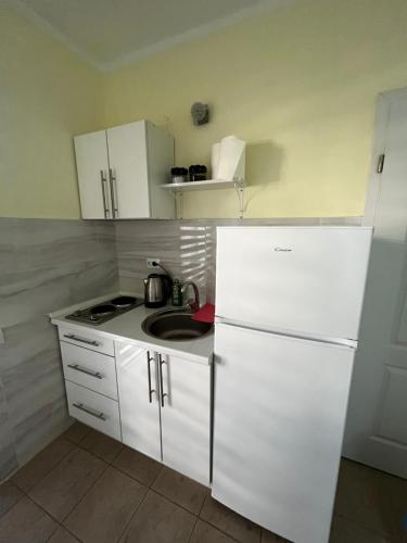 a kitchen with a sink and a white refrigerator at Villa Bojana in Utjeha