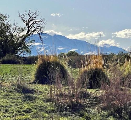 Finca Dos Lagos – Photos 3