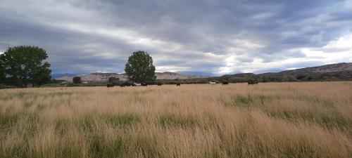 Finca Dos Lagos – Photos 2