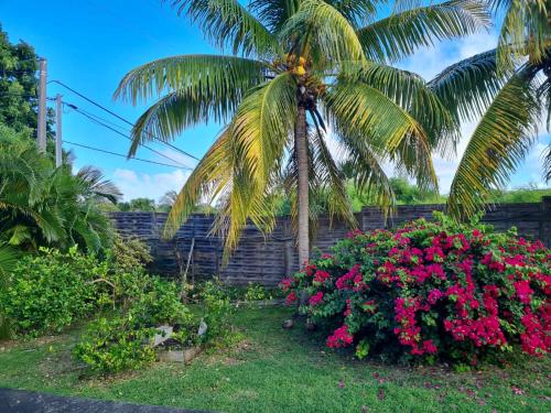 a palm tree and flowers in front of a fence at Domaine de Portland in Le Moule