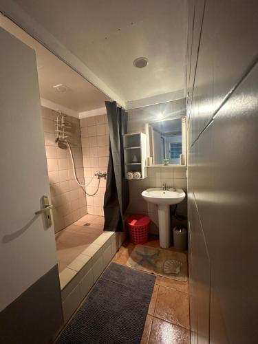 La petite salle de bains est pourvue d'une douche et d'un lavabo. dans l'établissement B&B Tontouta, à La Tontouta