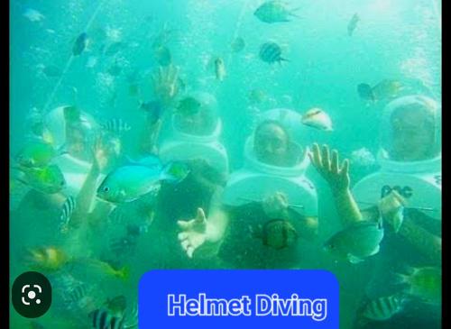 a person swimming in the water with a lot of fish at Lucky one transient 3mins walk from whart in Alaminos