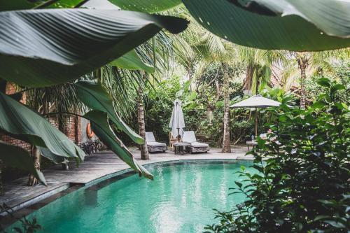a swimming pool with chairs and umbrellas and trees at Outpost Ubud Bungalows in Ubud