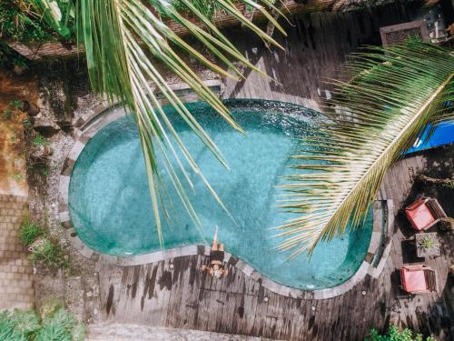 an overhead view of a swimming pool with a palm tree at Outpost Ubud Bungalows in Ubud
