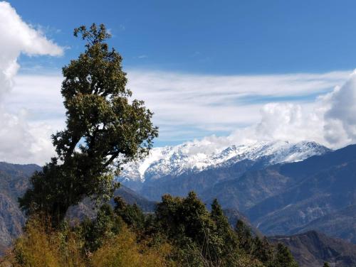 uma árvore numa colina com montanhas cobertas de neve em Shradha Homestay Leeti em Bāgeshwar