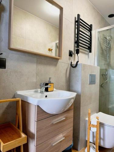 a bathroom with a white sink and a mirror at Hotel Czerwone Korale in Cielimowo