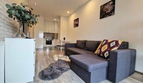 a living room with a couch and a table at Apartament Czechowska Comfort in Lublin