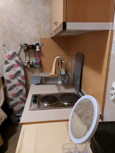 a small kitchen with a sink and a stove at APARTAMENT-DAMO in Pamporovo